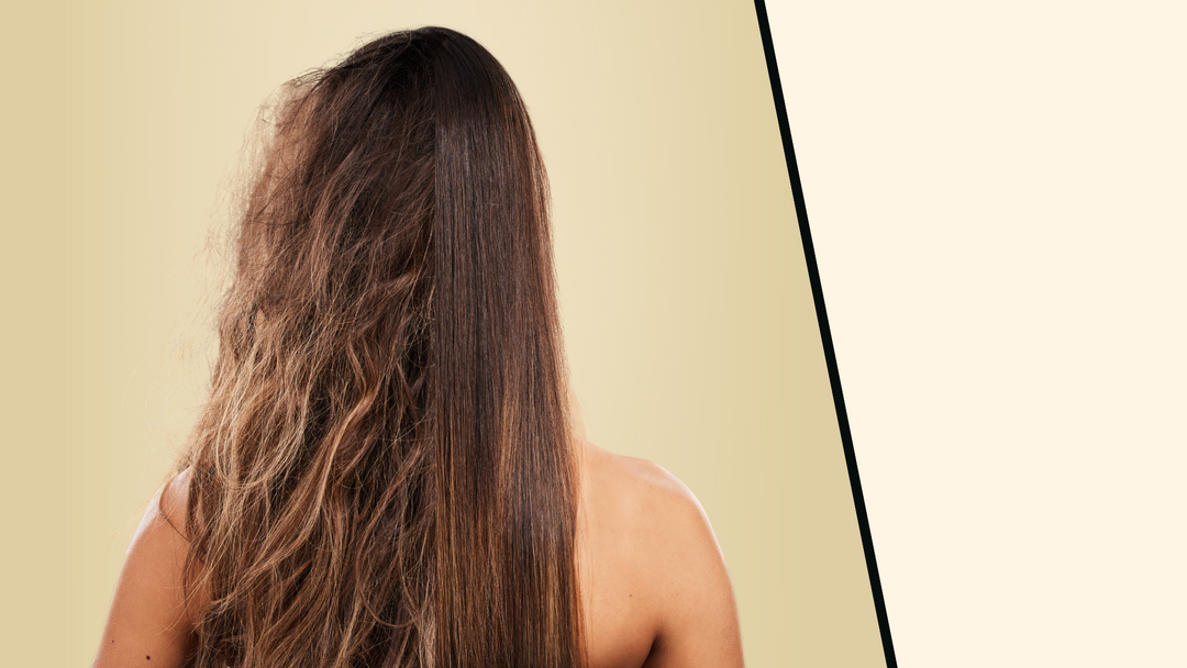 Best Shampoos For The Wintertime!