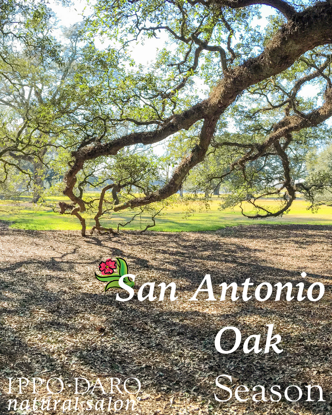 Why Your Hair is an Unseen "Pollen Magnet"—and 6 Ways to Fight Back This Spring